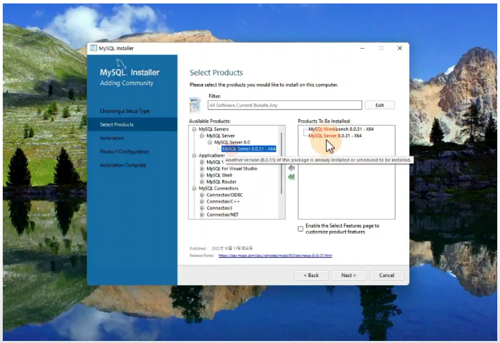 Windows에서 MySQL Server와 MySQL Workbench를 선택하는 설치 안내 화면